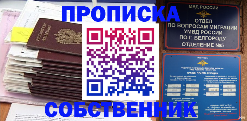 прописка законно в Братске